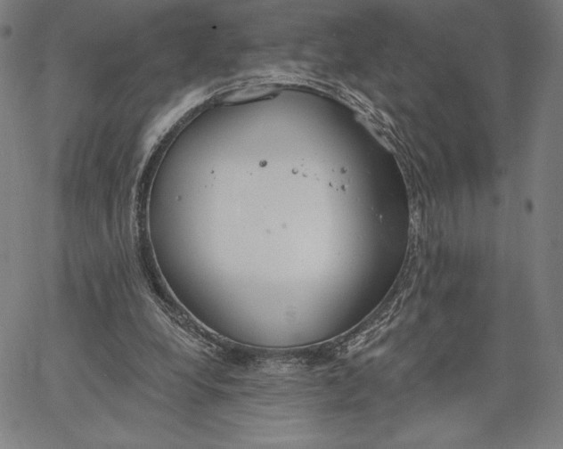 X0000067330248200604131708