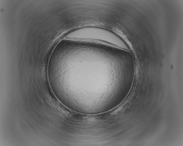 X0000067330249200604131708