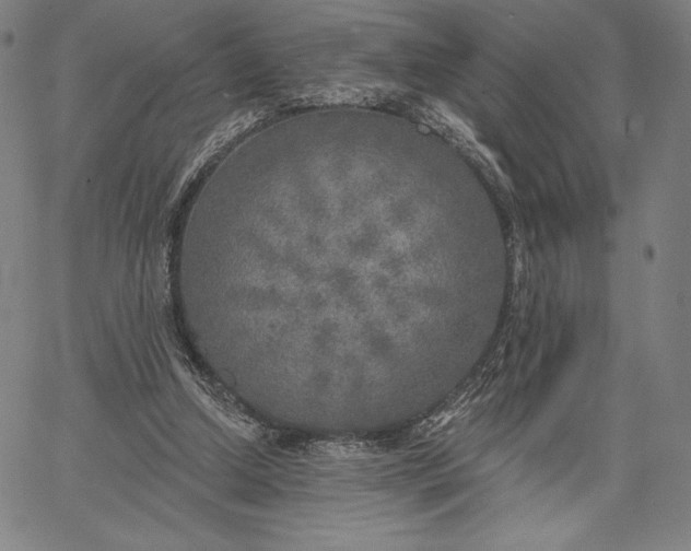 X0000067330250200604131708