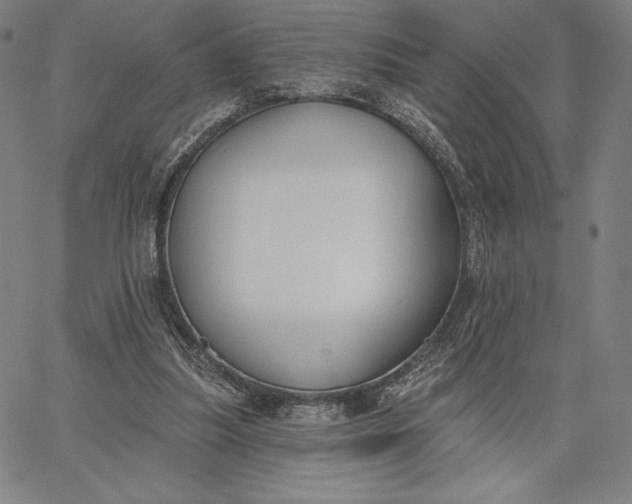 X0000067330251200604131708