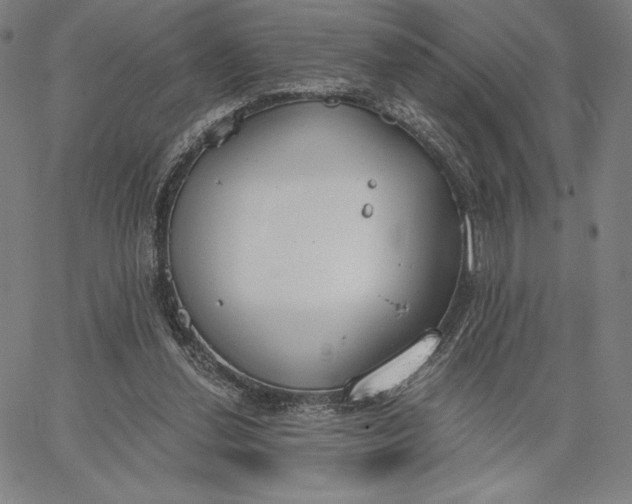 X0000067330252200604131708