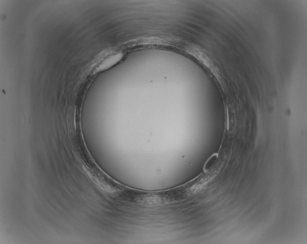 X0000067330253200604131708