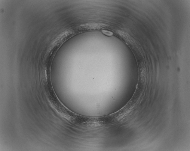 X0000067330254200604131708