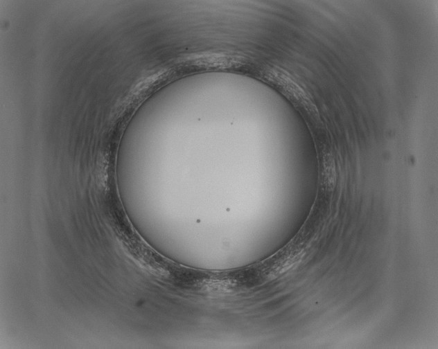 X0000067330255200604131708