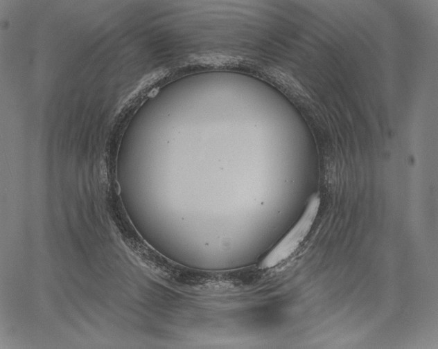 X0000067330256200604131708