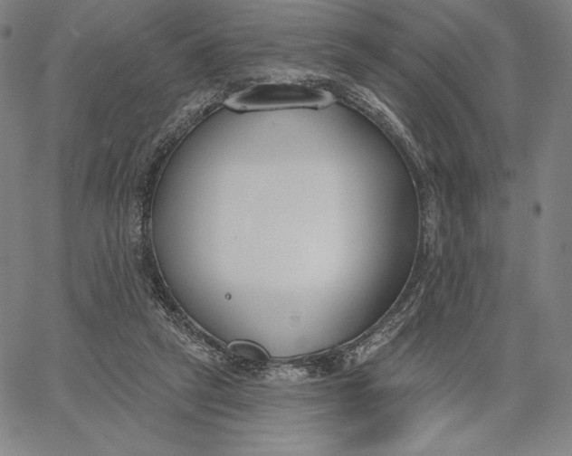 X0000067330257200604131708