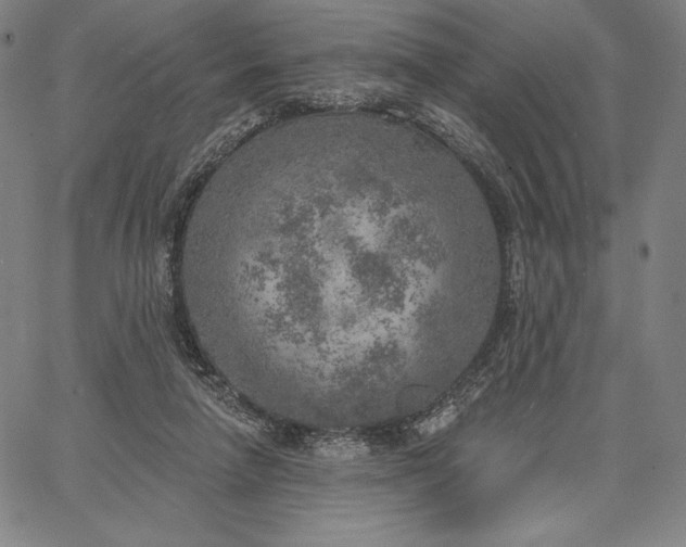 X0000067330258200604131708