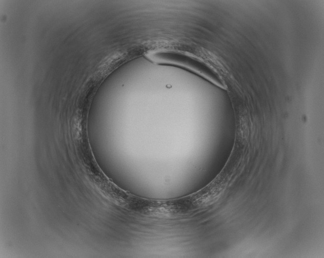 X0000067330259200604131708