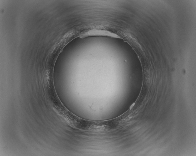 X0000067330260200604131708