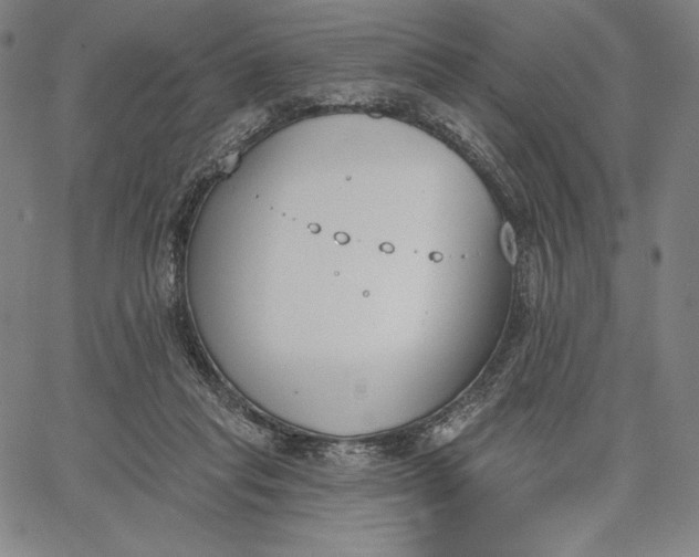 X0000067330261200604131708