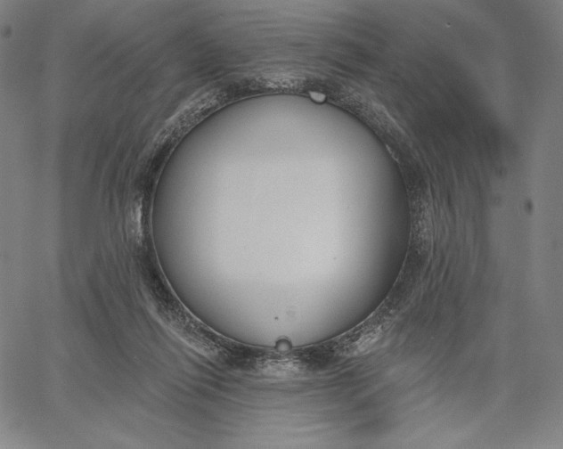 X0000067330262200604131708