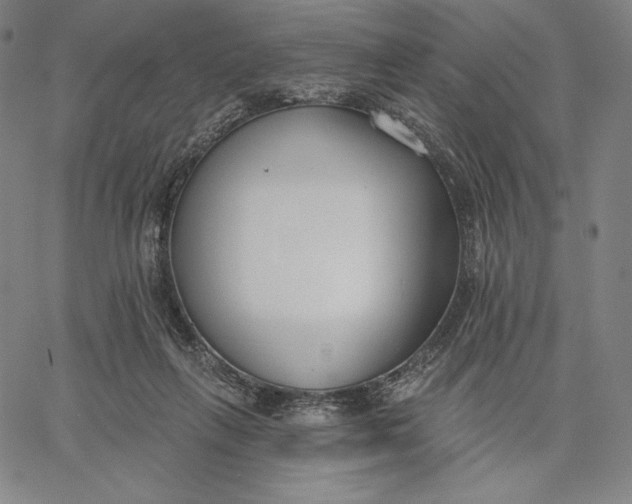 X0000067330263200604131708