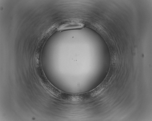 X0000067330264200604131708