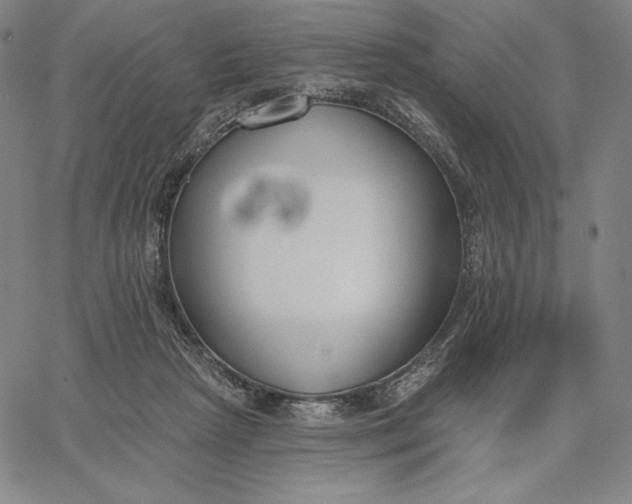 X0000067330265200604131708