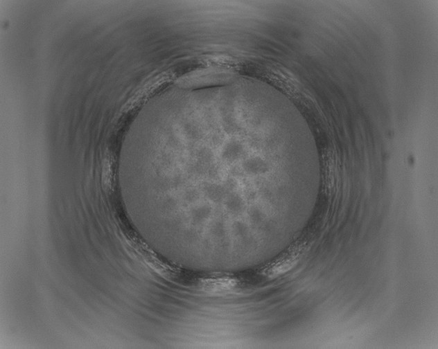 X0000067330266200604131708