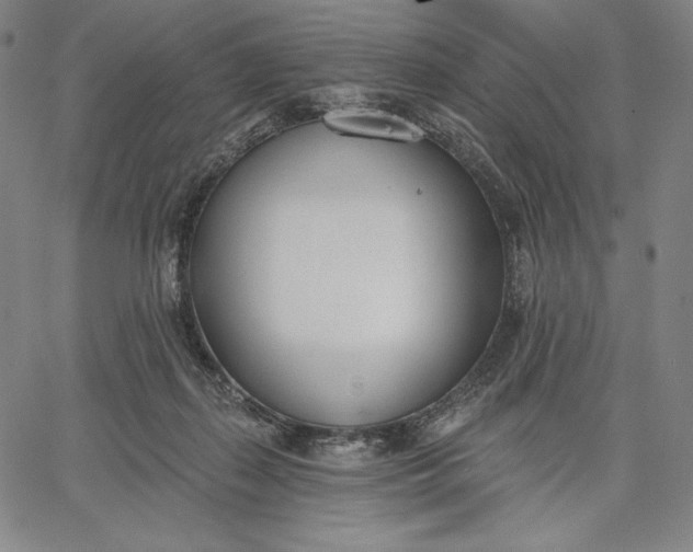 X0000067330267200604131708