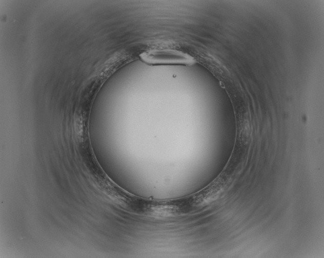 X0000067330268200604131708