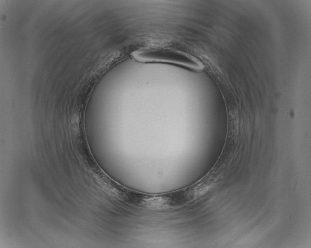 X0000067330269200604131708