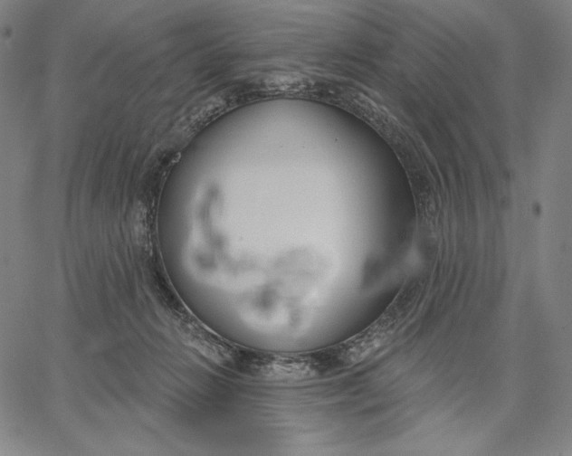 X0000067330270200604131708