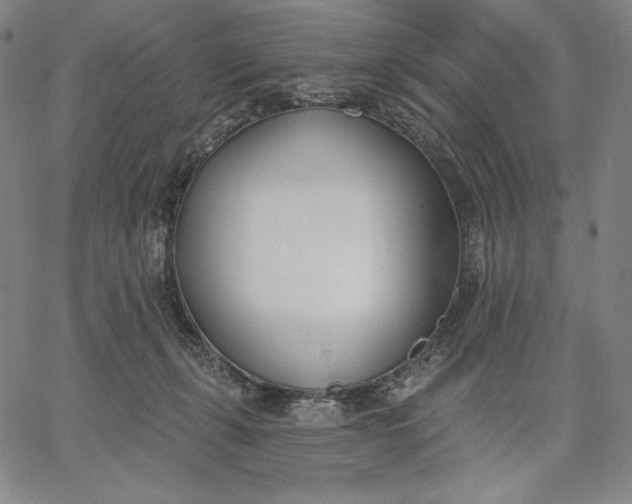 X0000067330271200604131708