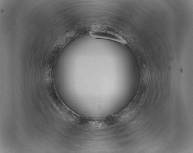 X0000067330272200604131708