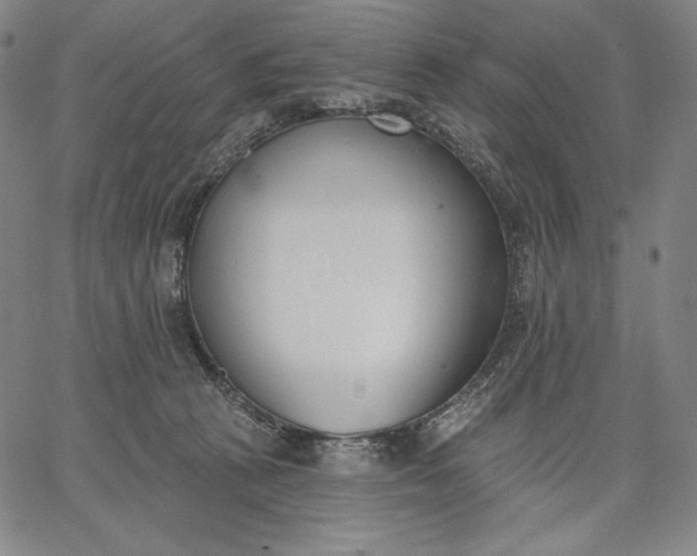 X0000067330273200604131708