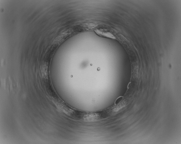 X0000067330274200604131708