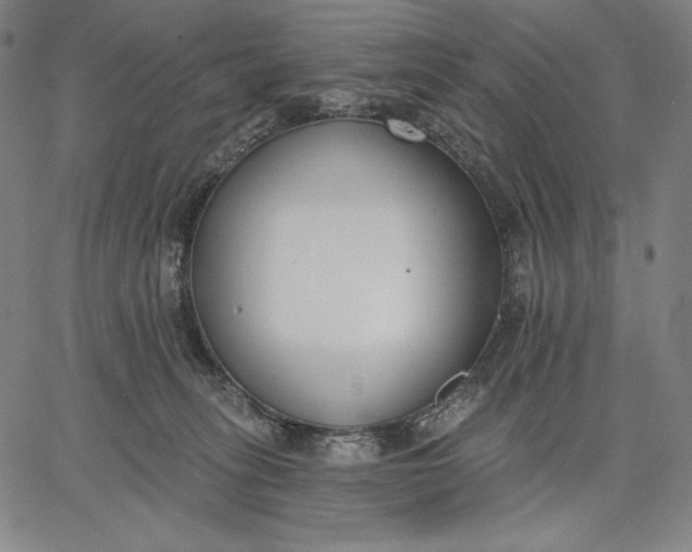 X0000067330275200604131708