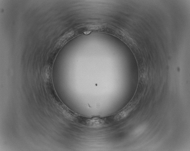 X0000067330277200604131708