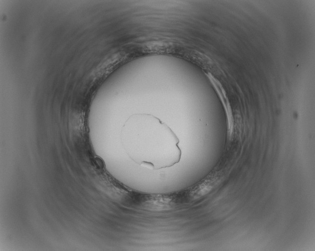 X0000067330278200604131708