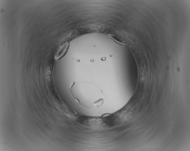 X0000067330279200604131708