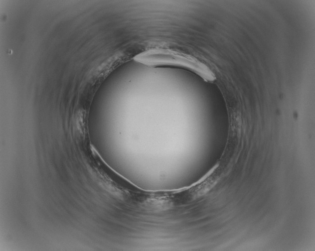 X0000067330280200604131708