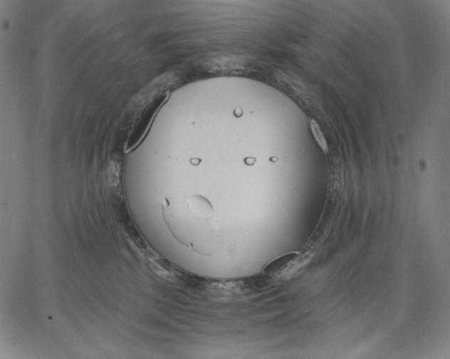 X0000067330281200604131708