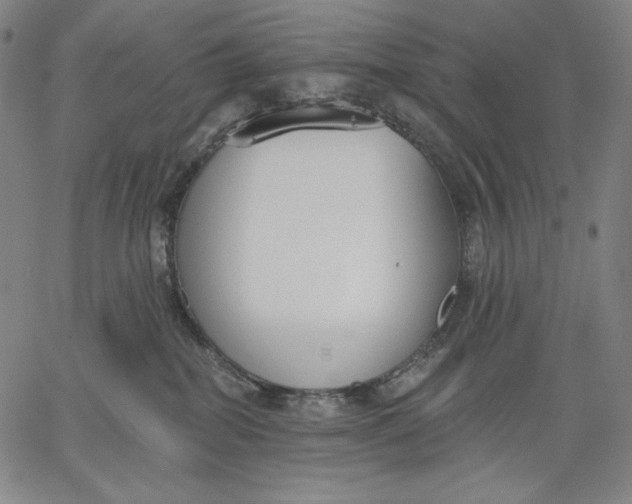 X0000067330282200604131708