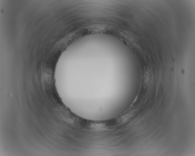 X0000067330283200604131708