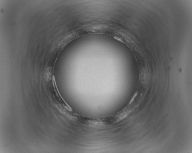 X0000067330284200604131708