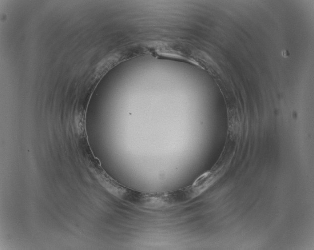 X0000067330285200604131708