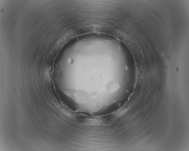 X0000067330286200604131708