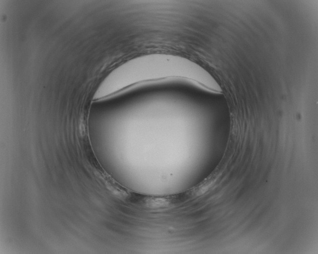 X0000067330287200604131708