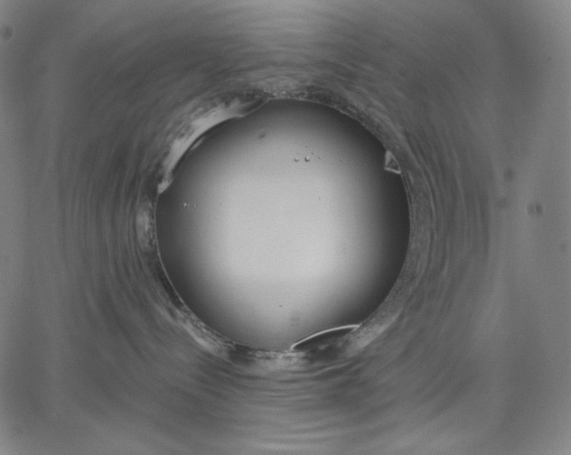 X0000067330288200604131708