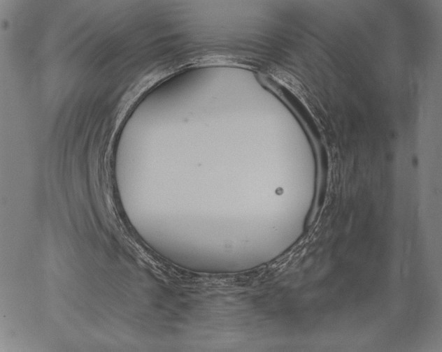 X0000067330289200604131707