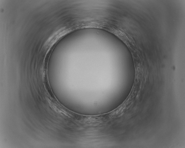 X0000067330290200604131707