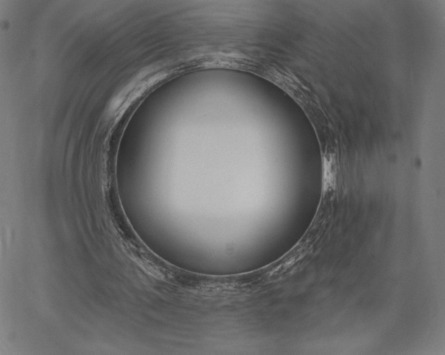 X0000067330291200604131707