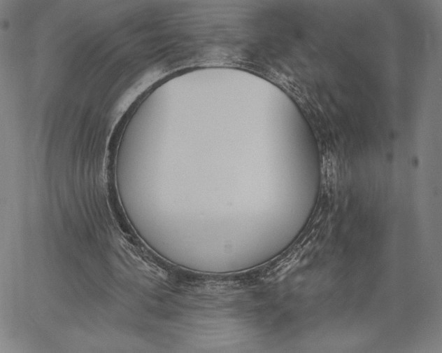 X0000067330292200604131707