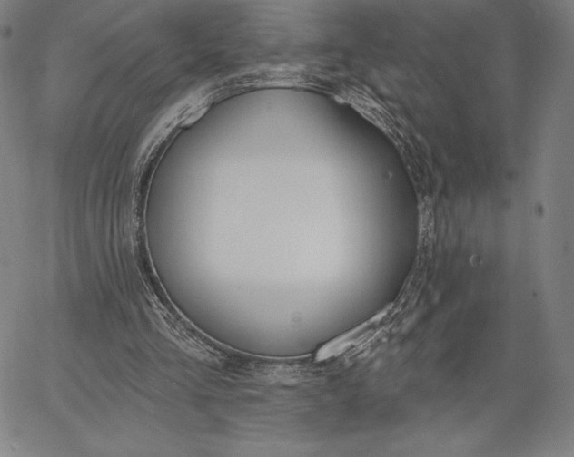 X0000067330293200604131707