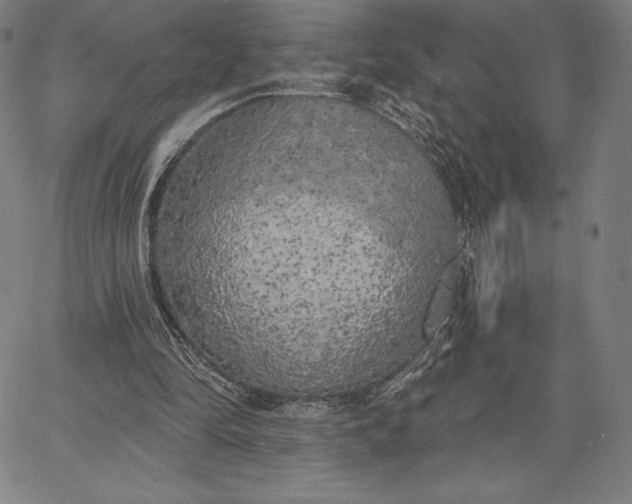 X0000067330294200604131707