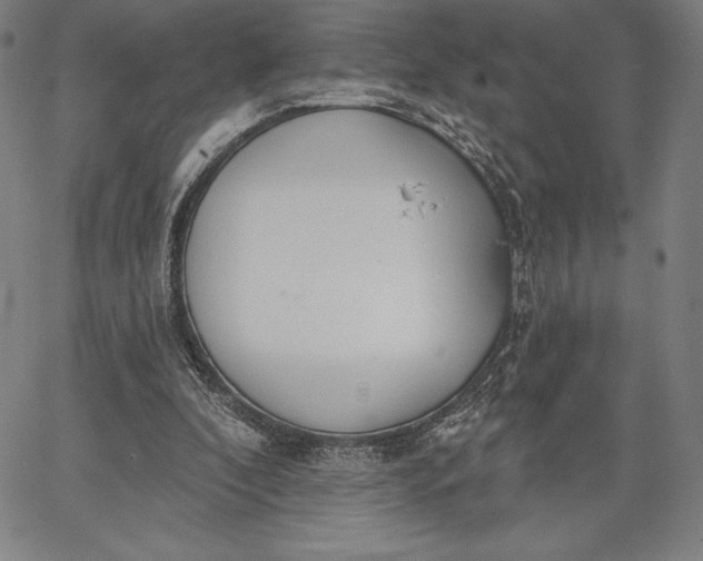 X0000067330296200604131707