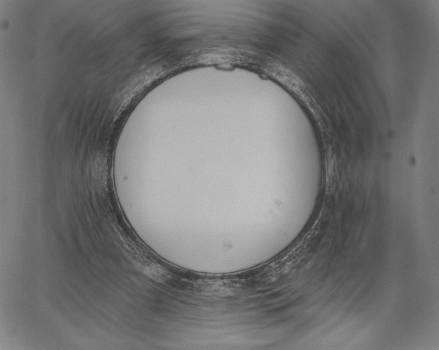 X0000067330297200604131707