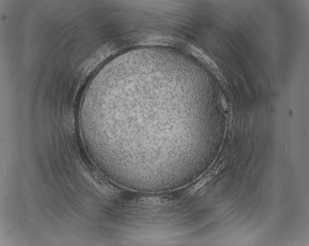 X0000067330298200604131707