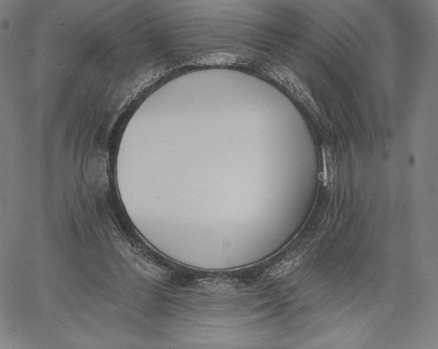 X0000067330300200604131707